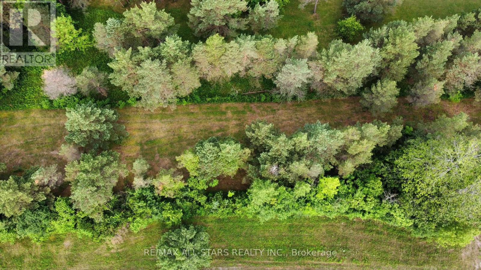 283 Bland Line, Cavan Monaghan (Cavan Twp), Ontario  L0A 1C0 - Photo 6 - X12028861
