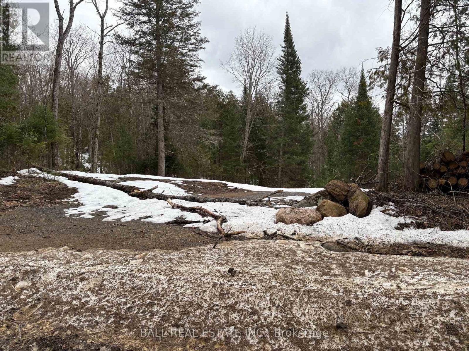 0 Rose Island Road, Wollaston, Ontario  K0L 1P0 - Photo 2 - X12030744