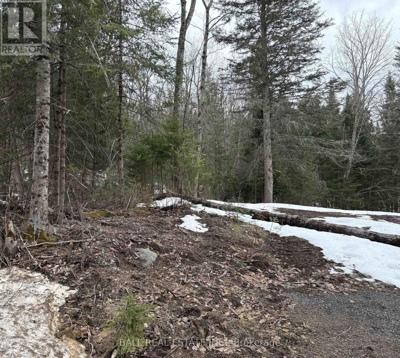 0 Rose Island Road, Wollaston, Ontario  K0L 1P0 - Photo 3 - X12030744