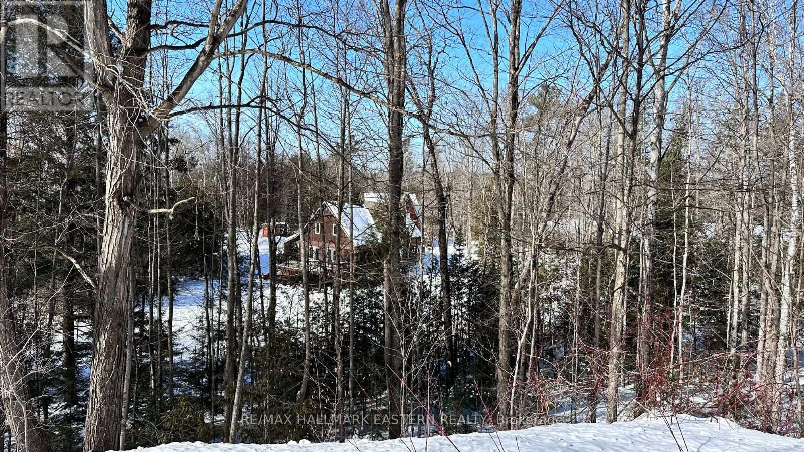 1719 River Road, Otonabee-South Monaghan, Ontario  K0L 2B0 - Photo 46 - X12031011
