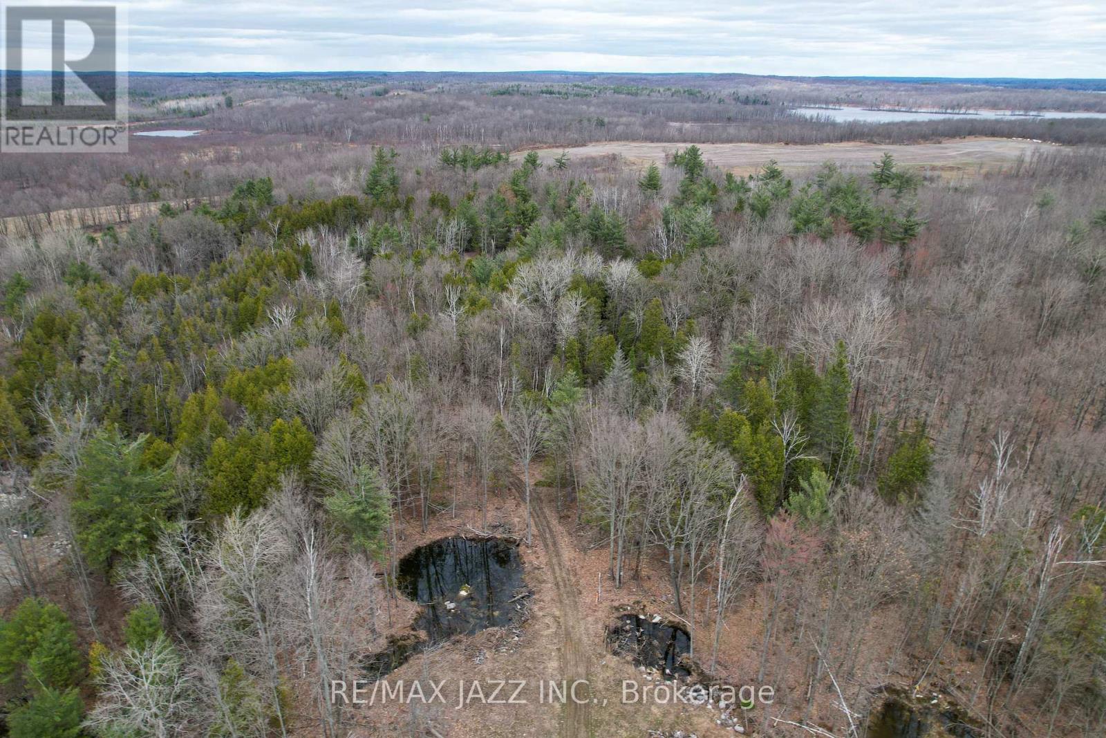 1167 Belmont Township 2 Line, Havelock-Belmont-Methuen (Belmont-Methuen), Ontario  K0L 1Z0 - Photo 34 - X12035002