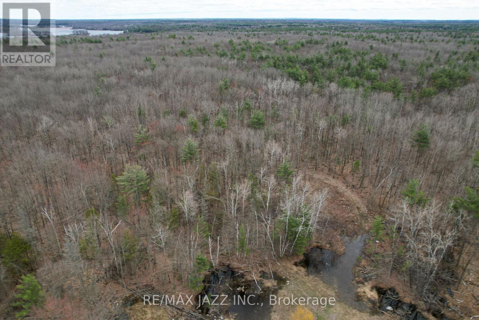 1167 Belmont Township 2 Line, Havelock-Belmont-Methuen (Belmont-Methuen), Ontario  K0L 1Z0 - Photo 35 - X12035002