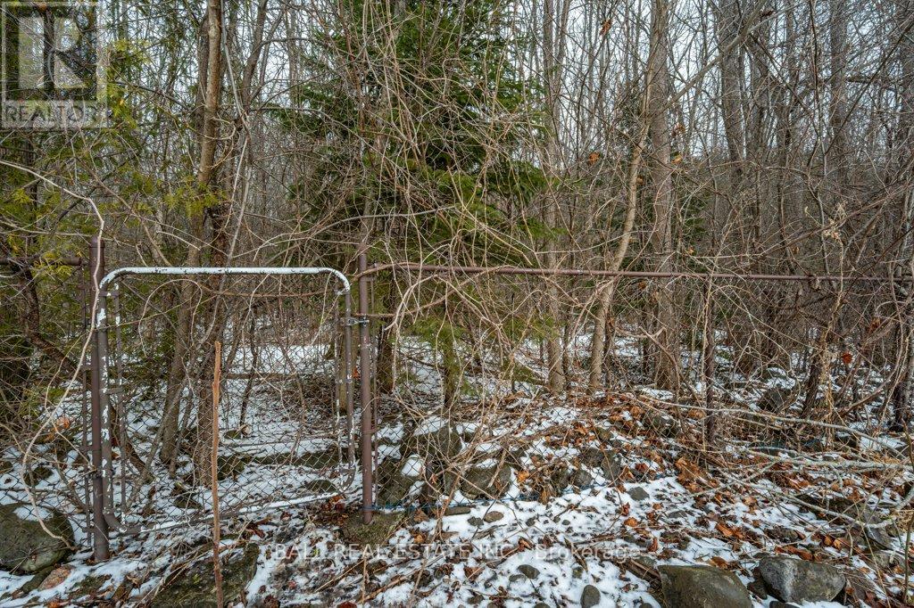 42 Stewart Drive, Selwyn, Ontario  K0L 2H0 - Photo 32 - X12042324