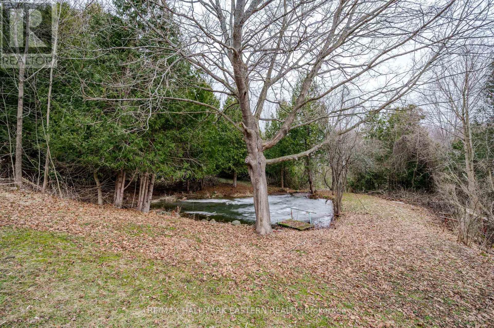 521 Concession Rd 8 W, Trent Hills, Ontario  K0L 1Y0 - Photo 47 - X12043609