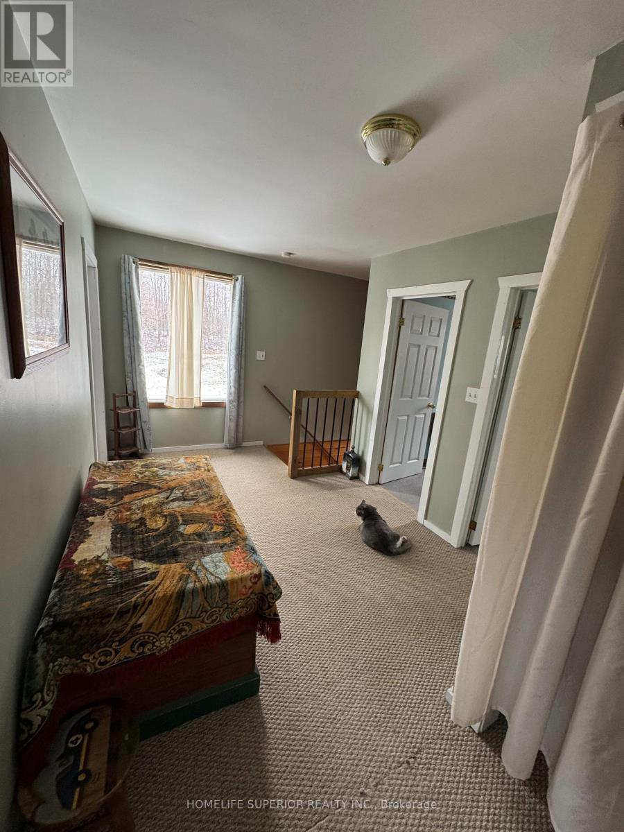 458 Hass Road, Carlow/mayo (Carlow Ward), Ontario  K0L 1G0 - Photo 8 - X12044437