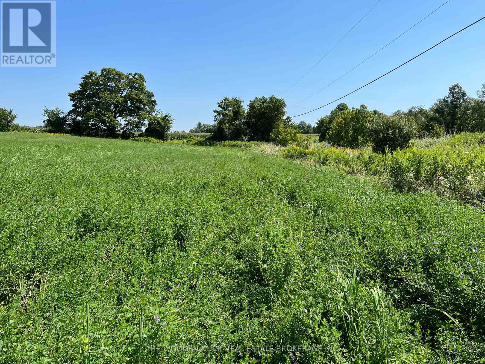 00 Webster Road, Douro-Dummer, Ontario  K0L 3A0 - Photo 3 - X12045880