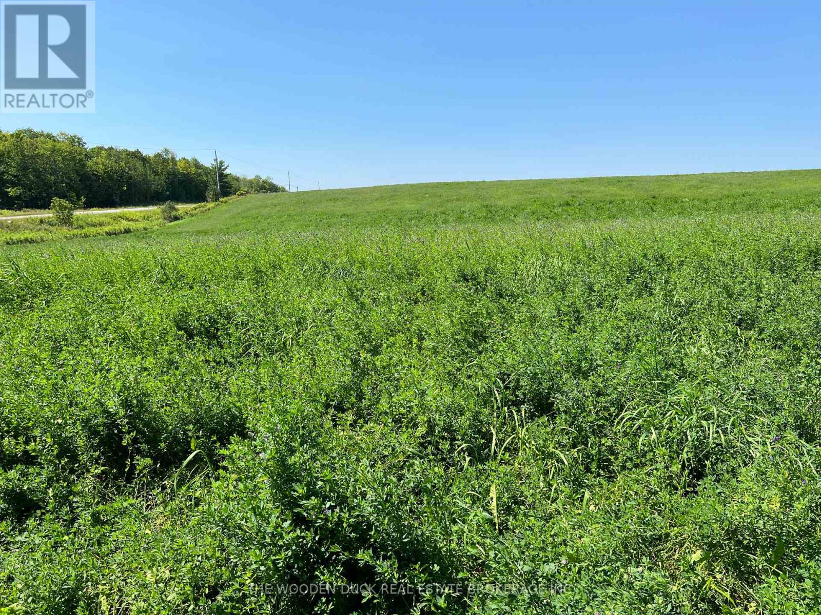 00 Webster Road, Douro-Dummer, Ontario  K0L 3A0 - Photo 4 - X12045880
