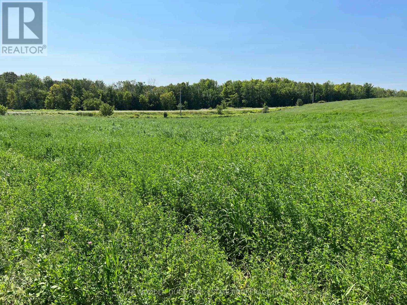 00 Webster Road, Douro-Dummer, Ontario  K0L 3A0 - Photo 6 - X12045880