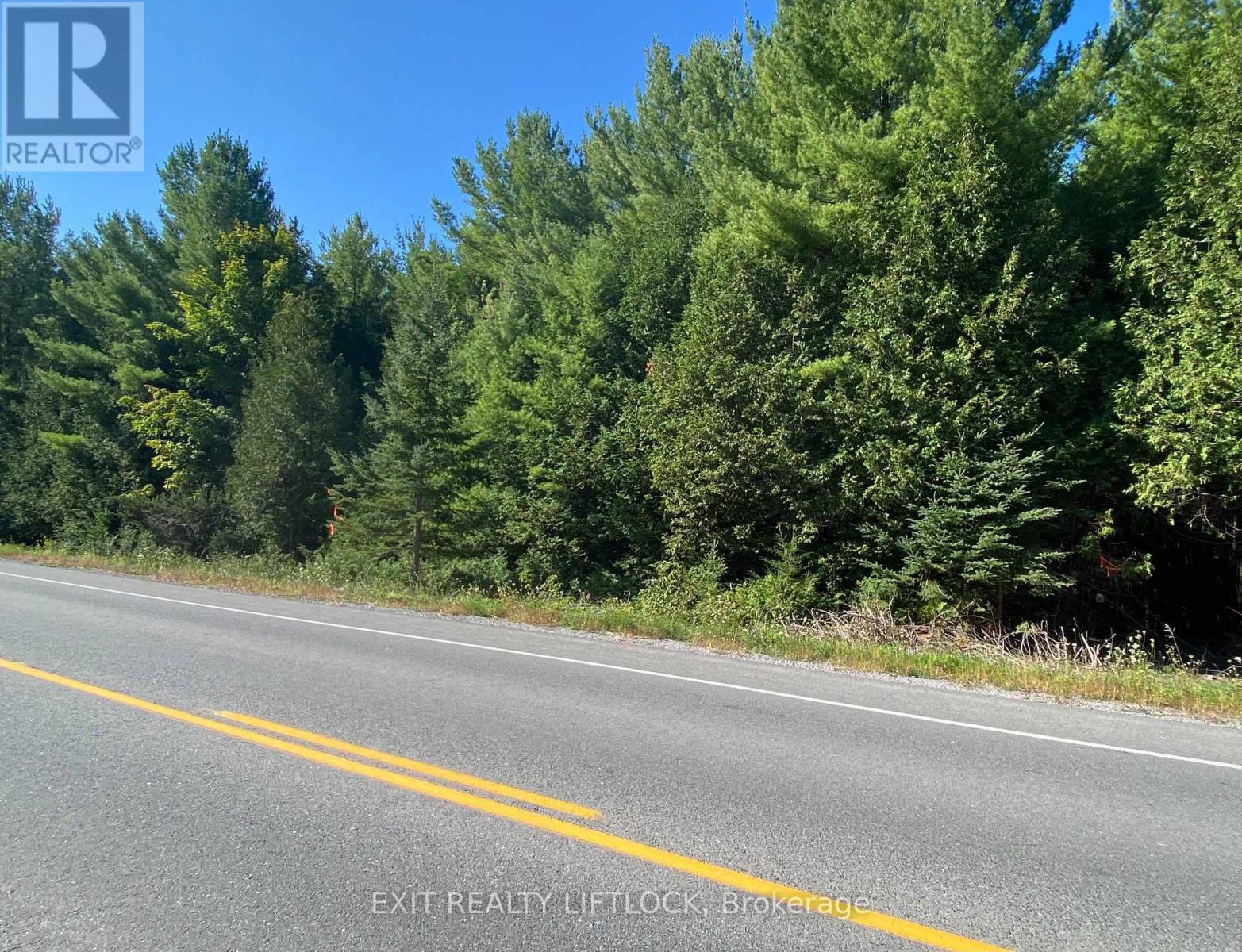 590 County Rd 40, Douro-Dummer, Ontario  K0L 2V0 - Photo 3 - X12047388