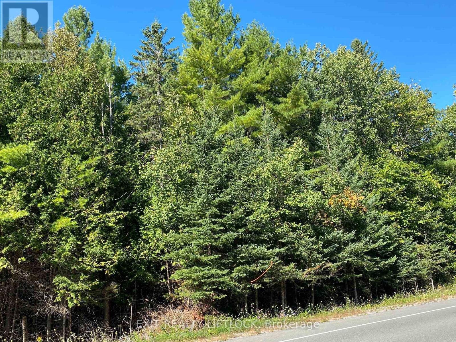 590 County Rd 40, Douro-Dummer, Ontario  K0L 2V0 - Photo 4 - X12047388