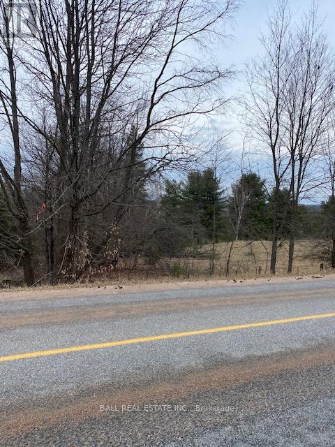 00 Detlor Road, Bancroft (Dungannon Ward), Ontario  K0L 1C0 - Photo 1 - X12047870