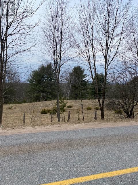 00 Detlor Road, Bancroft (Dungannon Ward), Ontario  K0L 1C0 - Photo 2 - X12047870
