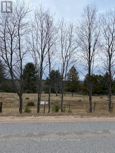 00 Detlor Road, Bancroft (Dungannon Ward), Ontario  K0L 1C0 - Photo 3 - X12047870