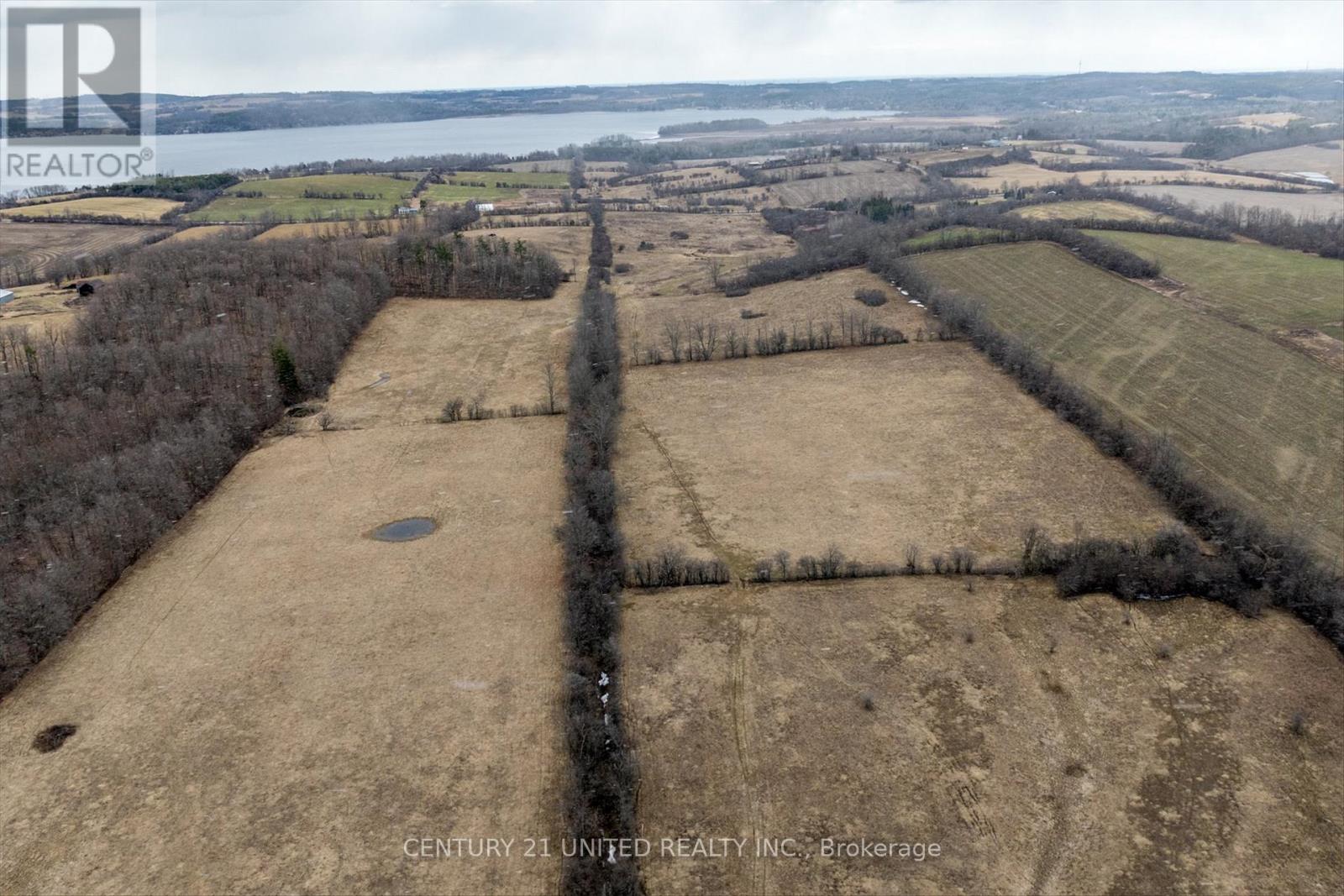221 County Rd 2, Otonabee-South Monaghan, Ontario  K0L 1B0 - Photo 11 - X12050511