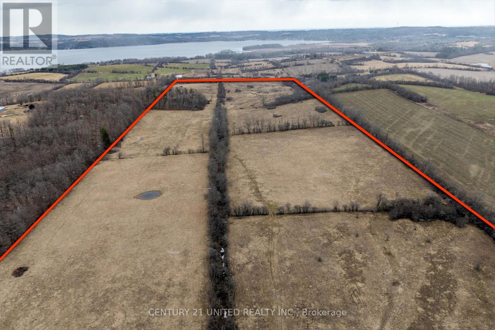 221 County Rd 2, Otonabee-South Monaghan, Ontario  K0L 1B0 - Photo 12 - X12050511