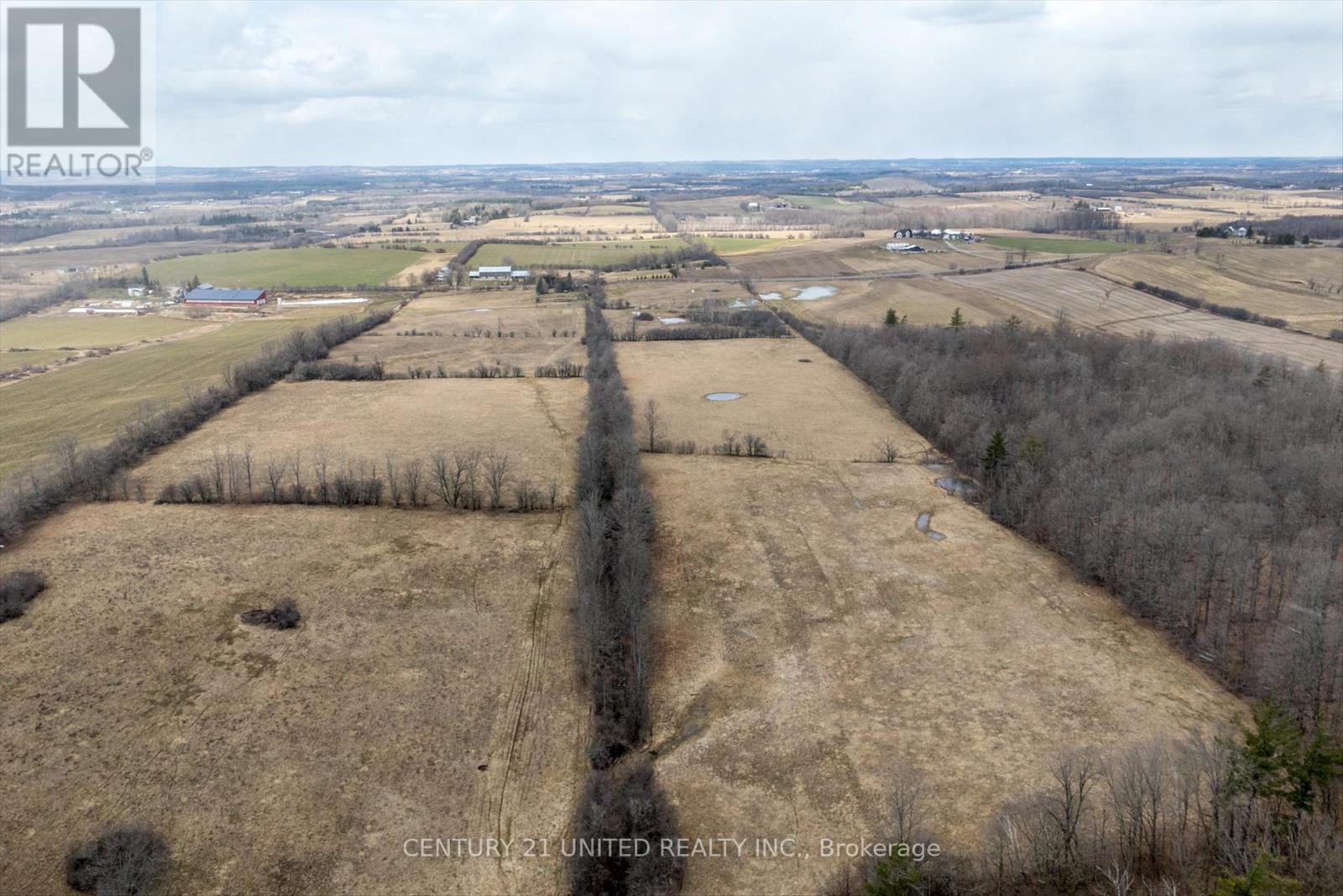 221 County Rd 2, Otonabee-South Monaghan, Ontario  K0L 1B0 - Photo 13 - X12050511
