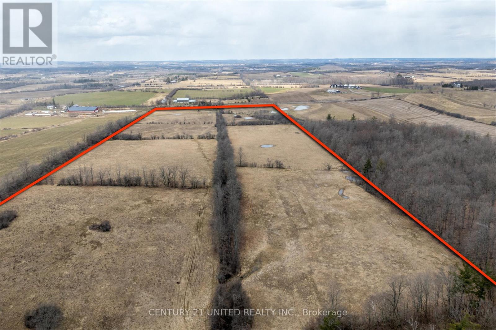 221 County Rd 2, Otonabee-South Monaghan, Ontario  K0L 1B0 - Photo 14 - X12050511