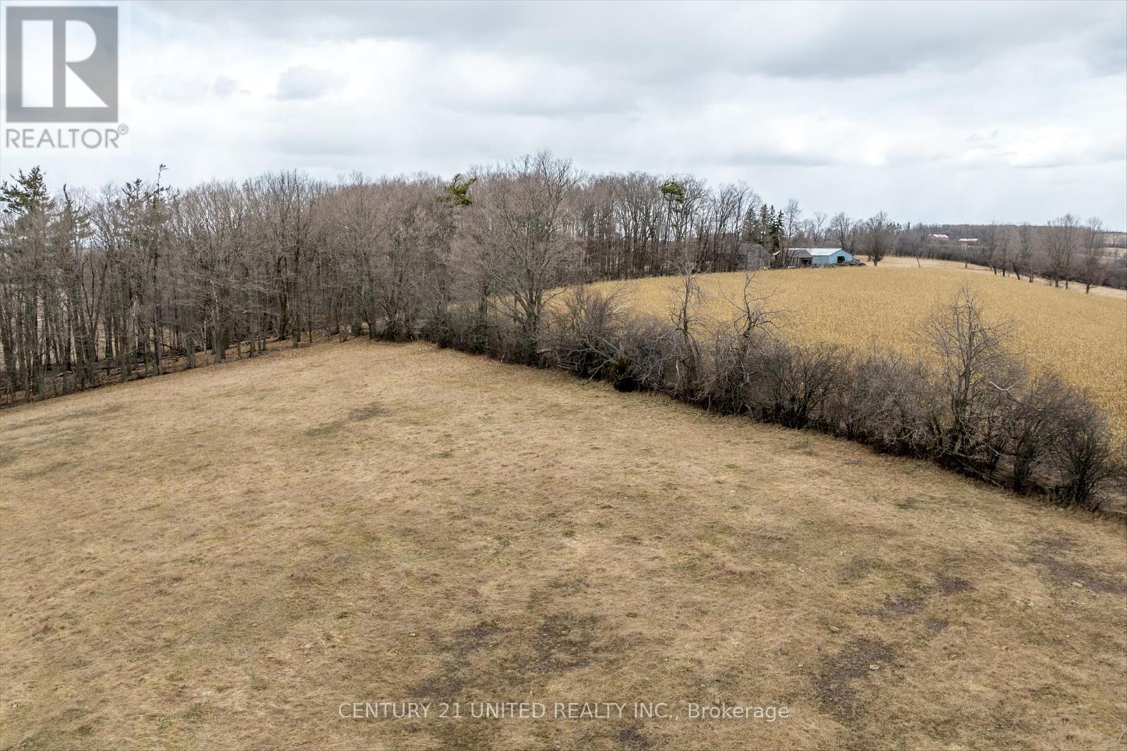 221 County Rd 2, Otonabee-South Monaghan, Ontario  K0L 1B0 - Photo 21 - X12050511