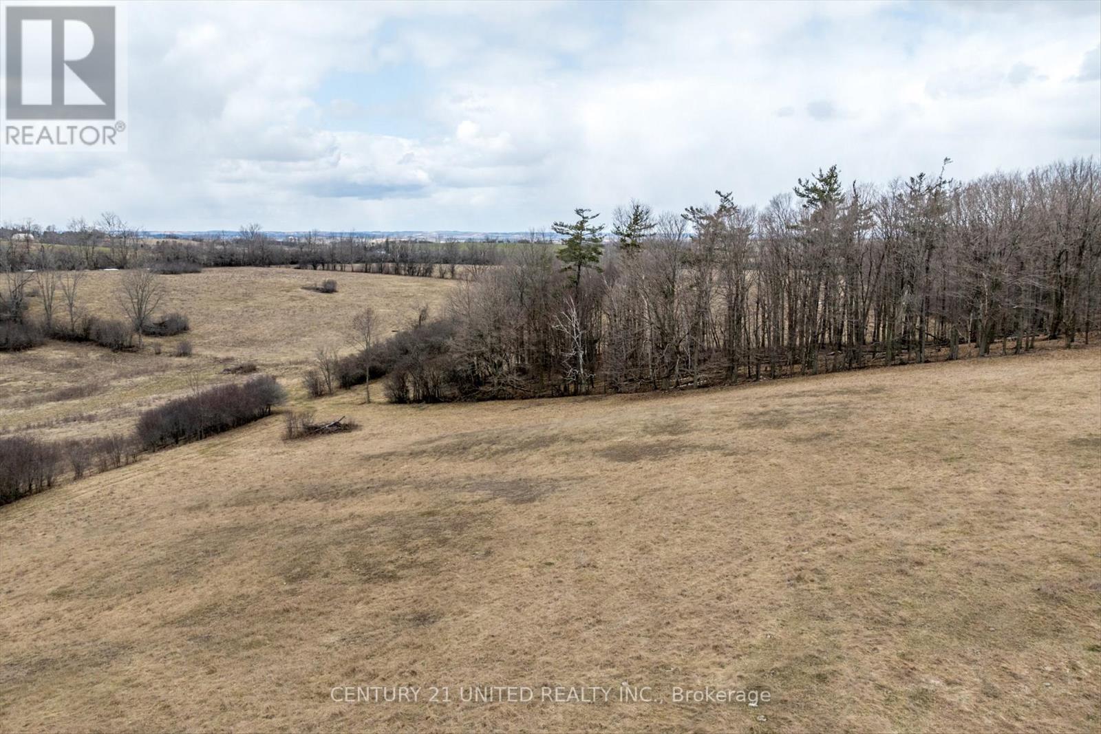 221 County Rd 2, Otonabee-South Monaghan, Ontario  K0L 1B0 - Photo 22 - X12050511