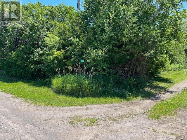 221 County Rd 2, Otonabee-South Monaghan, Ontario  K0L 1B0 - Photo 7 - X12050511