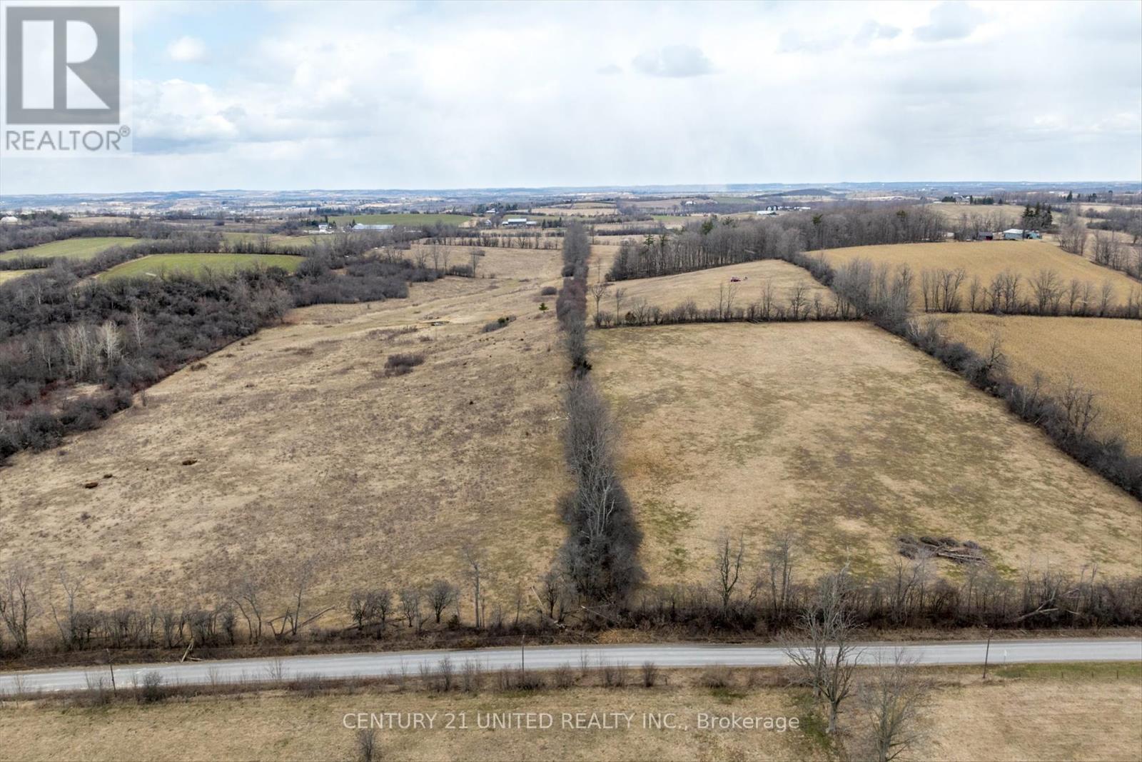 221 County Rd 2, Otonabee-South Monaghan, Ontario  K0L 1B0 - Photo 8 - X12050511