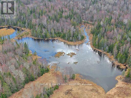 0 Mccrea Road, Highlands East (Monmouth), Ontario  K0L 2Y0 - Photo 10 - X12050643