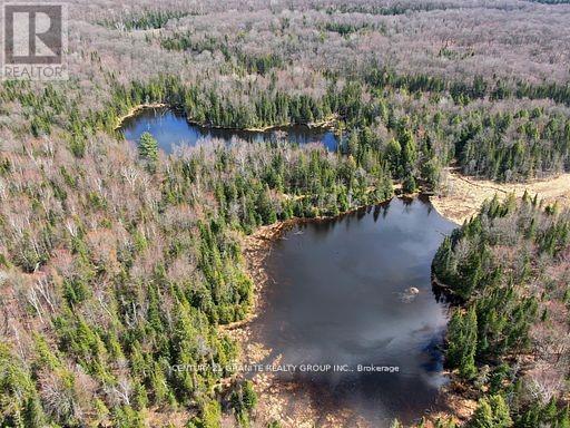 0 Mccrea Road, Highlands East (Monmouth), Ontario  K0L 2Y0 - Photo 11 - X12050643