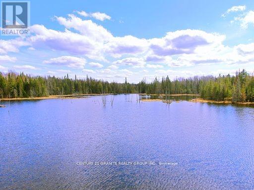0 Mccrea Road, Highlands East (Monmouth), Ontario  K0L 2Y0 - Photo 13 - X12050643