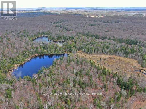 0 Mccrea Road, Highlands East (Monmouth), Ontario  K0L 2Y0 - Photo 18 - X12050643