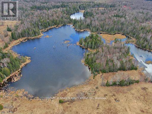 0 Mccrea Road, Highlands East (Monmouth), Ontario  K0L 2Y0 - Photo 19 - X12050643
