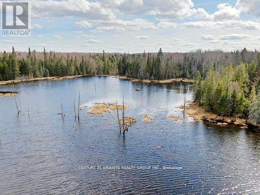 0 Mccrea Road, Highlands East (Monmouth), Ontario  K0L 2Y0 - Photo 6 - X12050643