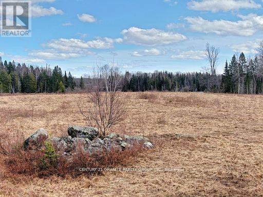 0 Mccrea Road, Highlands East (Monmouth), Ontario  K0L 2Y0 - Photo 9 - X12050643