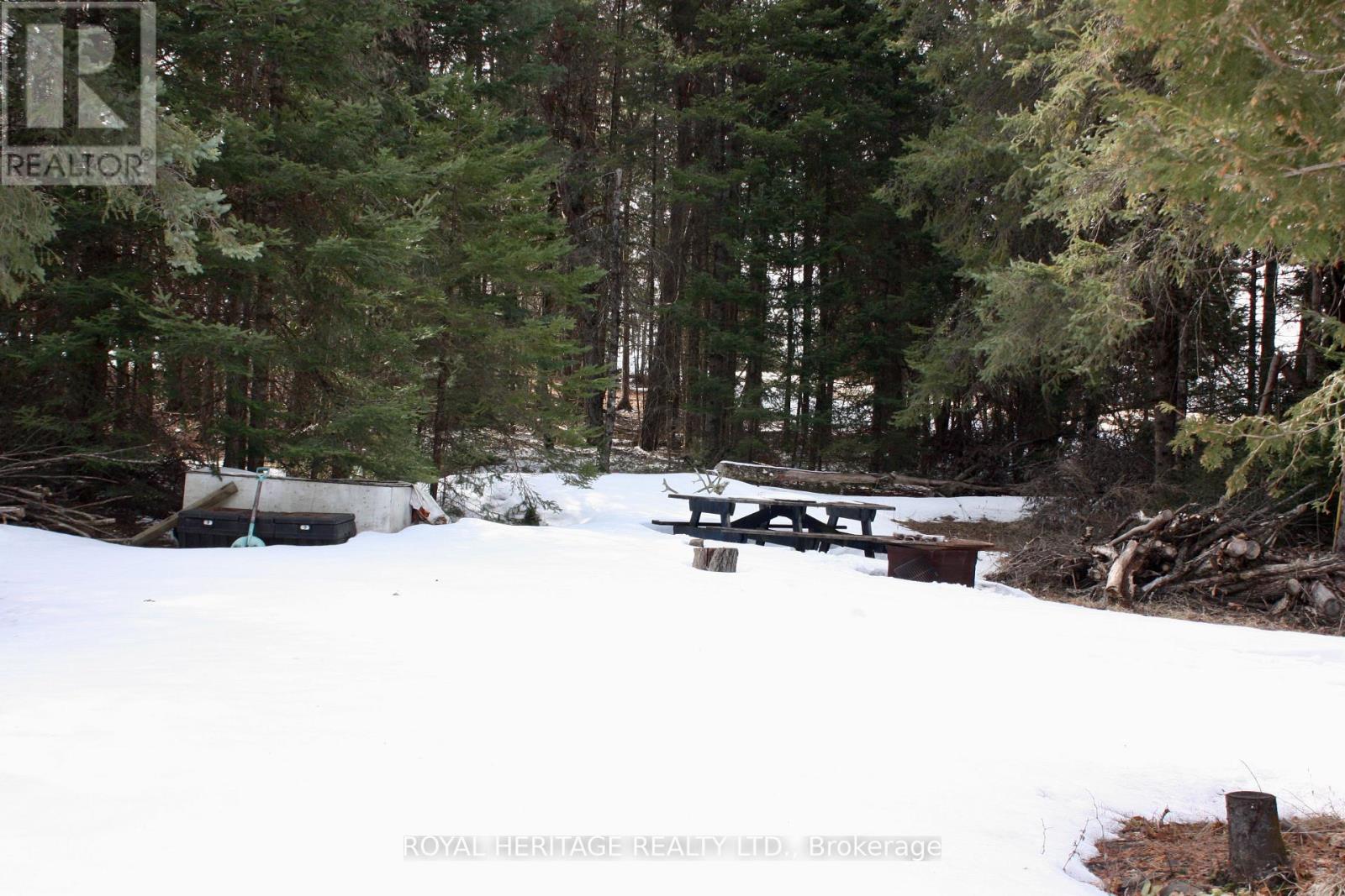 449 Limerick Lake Road, Limerick, Ontario  K0L 1W0 - Photo 13 - X12051370