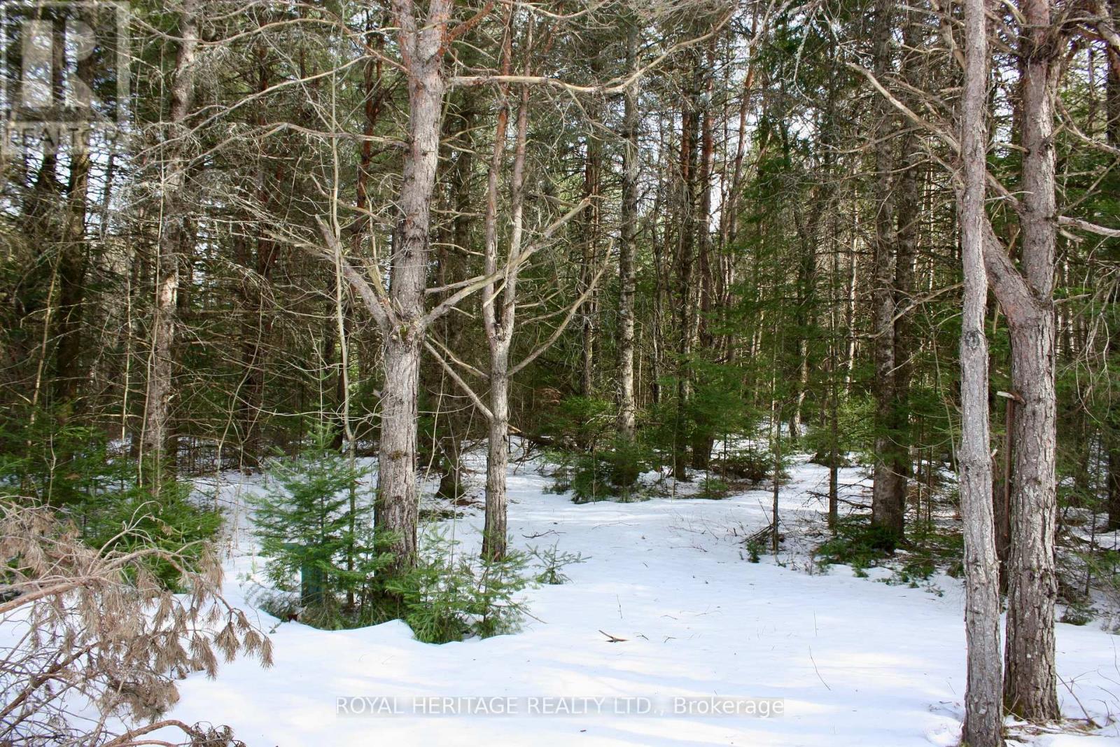 449 Limerick Lake Road, Limerick, Ontario  K0L 1W0 - Photo 14 - X12051370