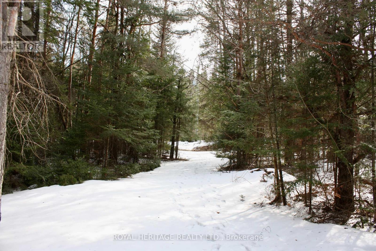 449 Limerick Lake Road, Limerick, Ontario  K0L 1W0 - Photo 15 - X12051370