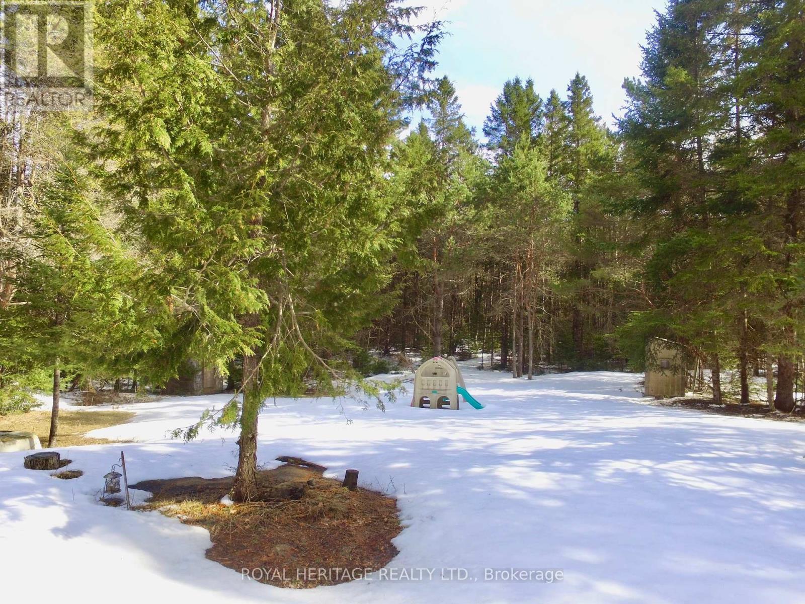 449 Limerick Lake Road, Limerick, Ontario  K0L 1W0 - Photo 16 - X12051370