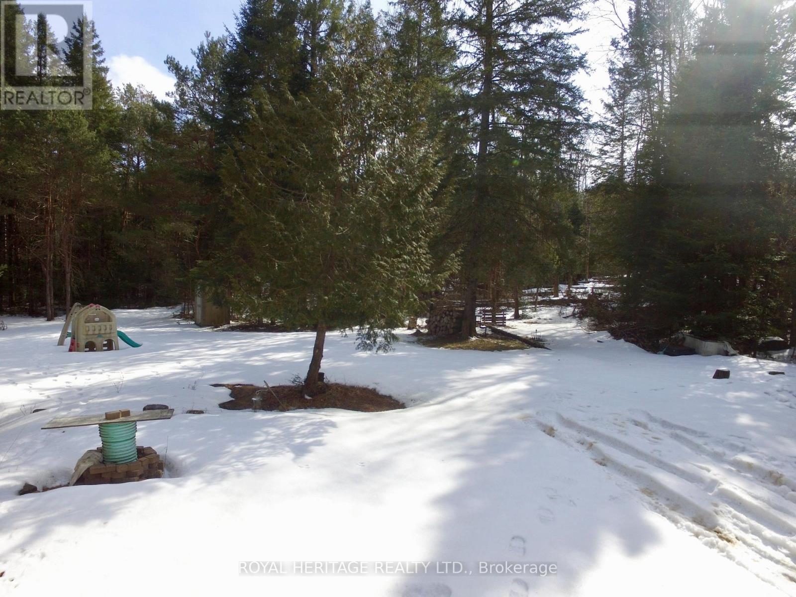 449 Limerick Lake Road, Limerick, Ontario  K0L 1W0 - Photo 28 - X12051370