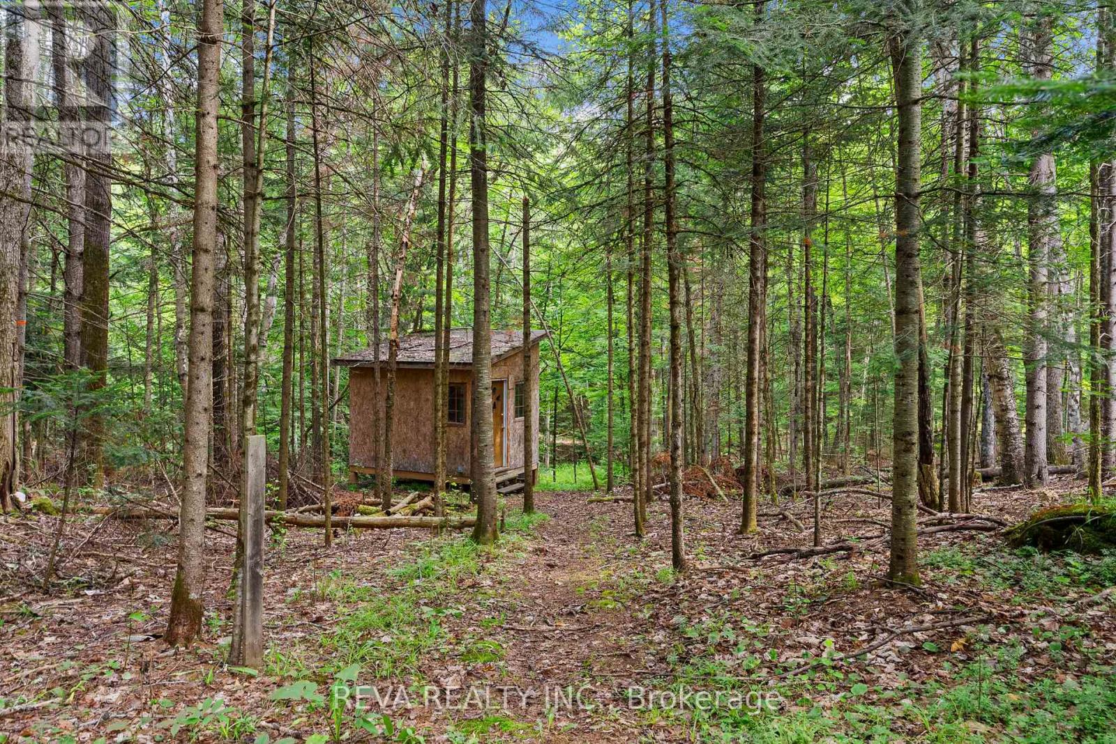 78 Bridge Street E, Bancroft (Bancroft Ward), Ontario  K0L 1C0 - Photo 26 - X12052055