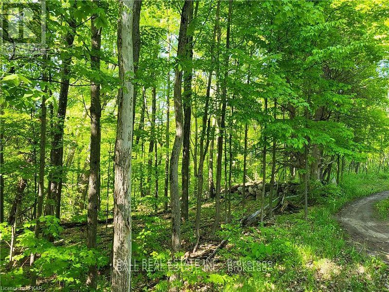 81 Silver Heights Drive, Trent Hills (Hastings), Ontario  K0L 1Y0 - Photo 19 - X12053494