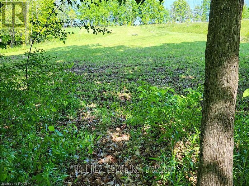 81 Silver Heights Drive, Trent Hills (Hastings), Ontario  K0L 1Y0 - Photo 22 - X12053494