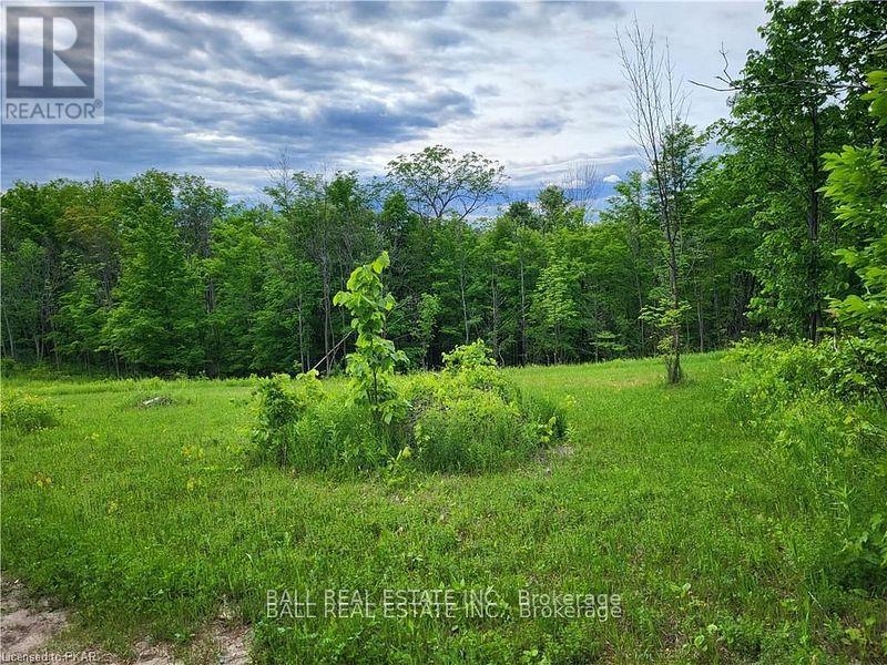 81 Silver Heights Drive, Trent Hills (Hastings), Ontario  K0L 1Y0 - Photo 23 - X12053494