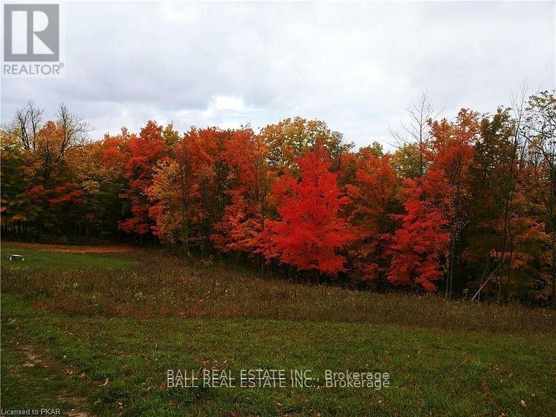 81 Silver Heights Drive, Trent Hills (Hastings), Ontario  K0L 1Y0 - Photo 35 - X12053494