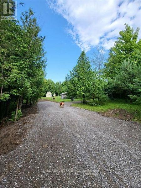 81 Silver Heights Drive, Trent Hills (Hastings), Ontario  K0L 1Y0 - Photo 5 - X12053494