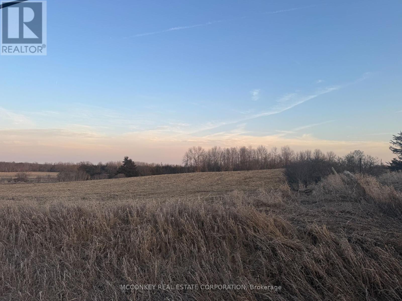 657 5th Line West, Trent Hills (Campbellford), Ontario  K0L 1L0 - Photo 5 - X12056059