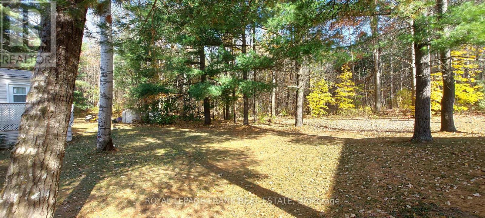 83 Belmont Street, Havelock-Belmont-Methuen (Belmont-Methuen), Ontario  K0L 1Z0 - Photo 21 - X12059936