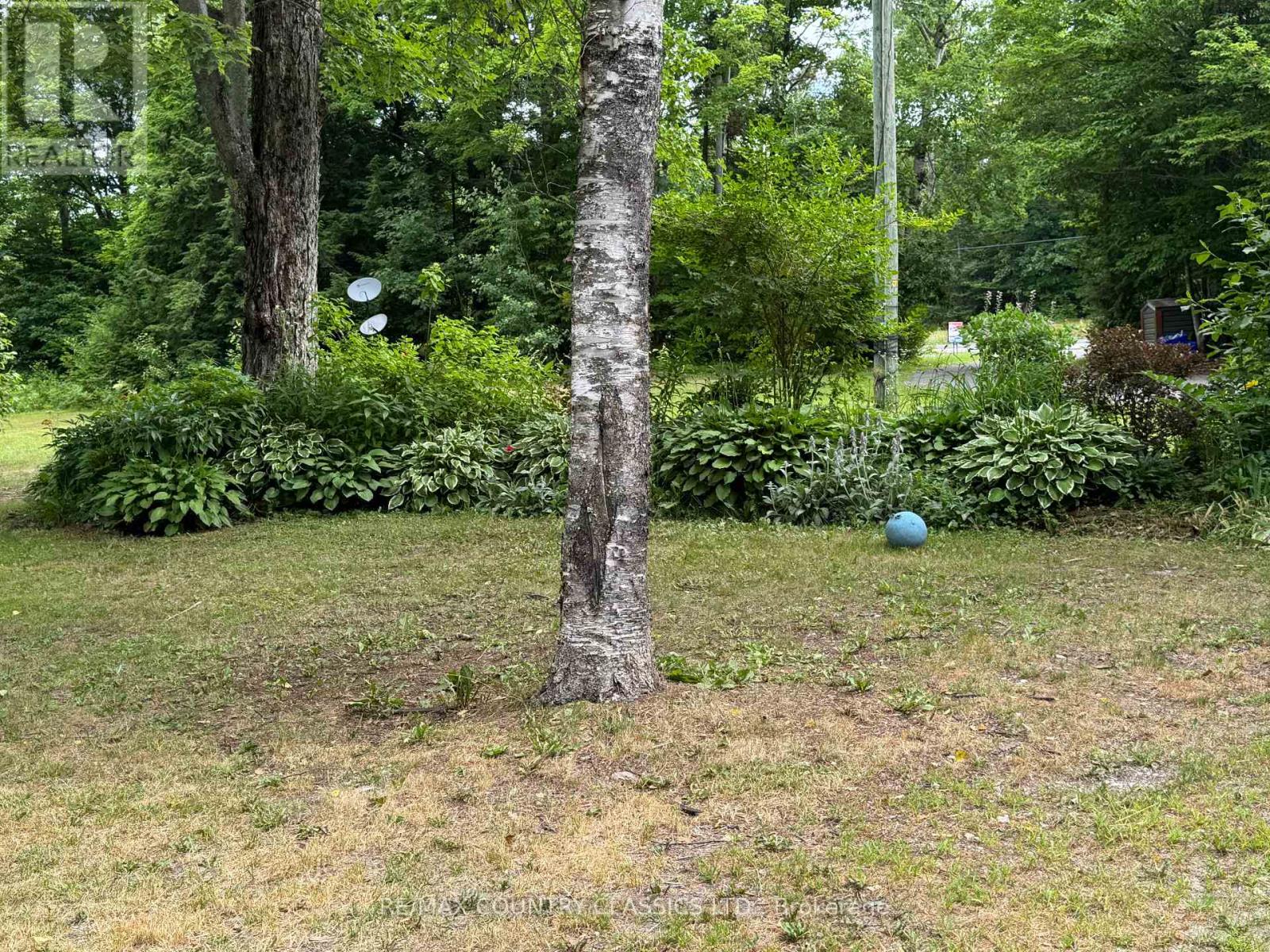11780 Highway 28 S, North Kawartha, Ontario  K0L 1A0 - Photo 42 - X12068325
