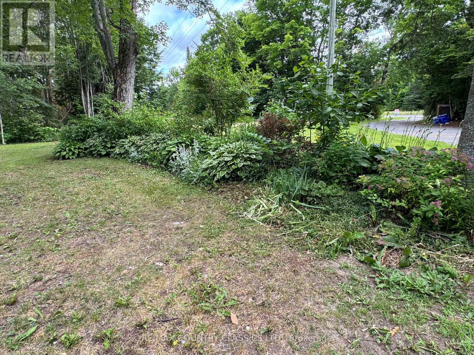 11780 Highway 28 S, North Kawartha, Ontario  K0L 1A0 - Photo 43 - X12068325
