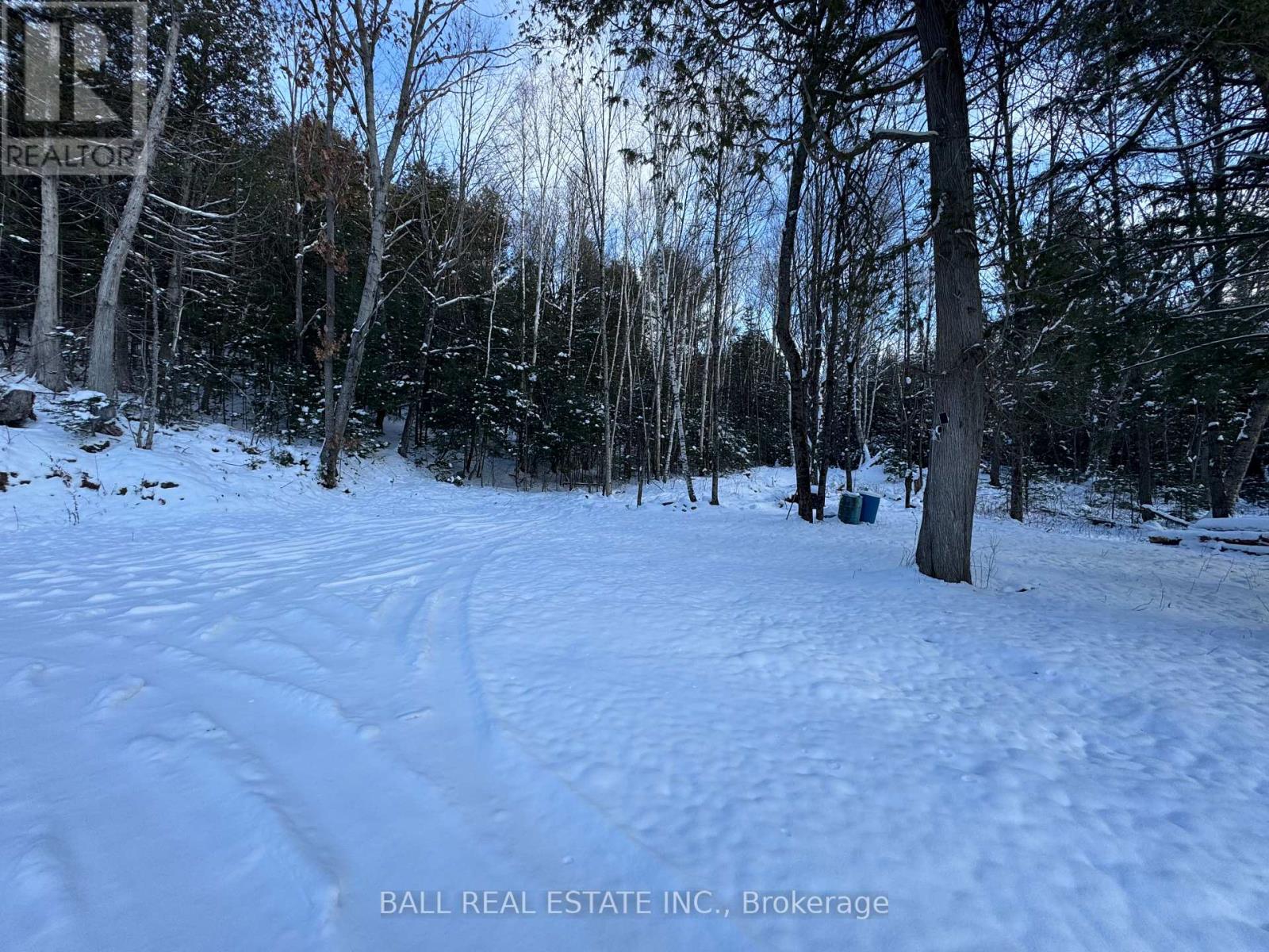 232 Clarke Road, Highlands East (Cardiff Ward), Ontario  K0L 2A0 - Photo 11 - X12071588