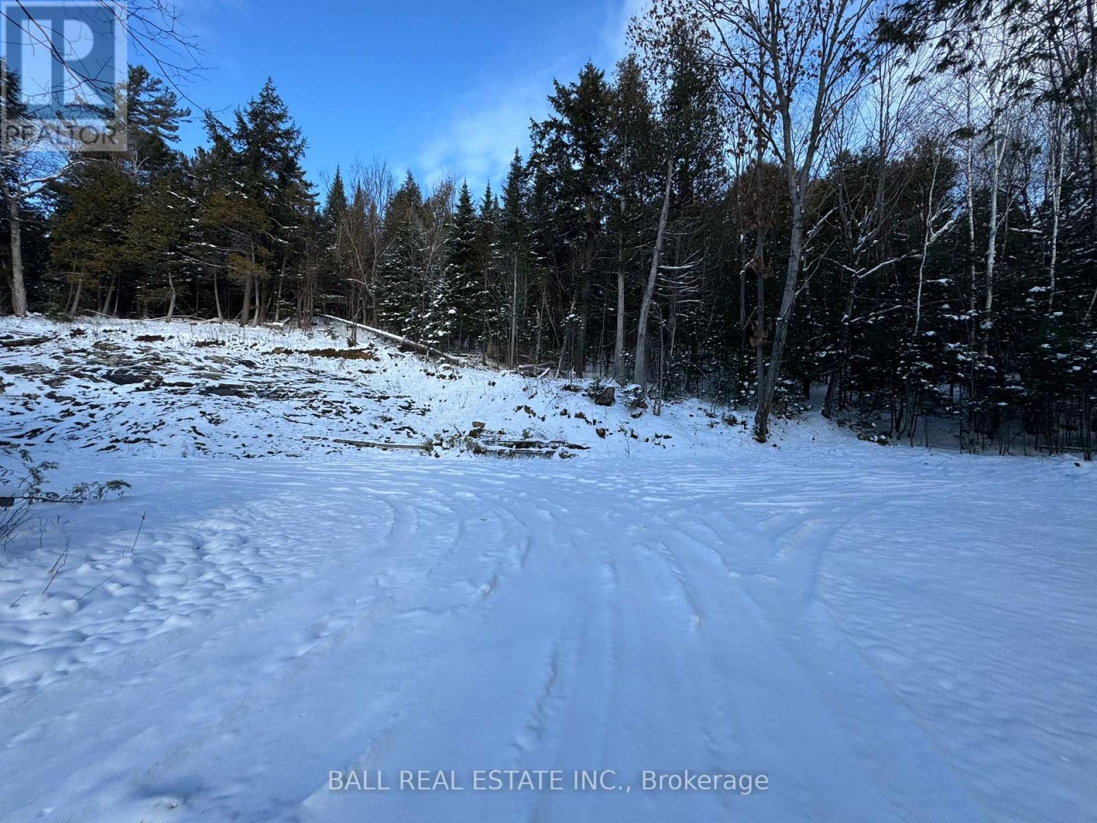 232 Clarke Road, Highlands East (Cardiff Ward), Ontario  K0L 2A0 - Photo 12 - X12071588