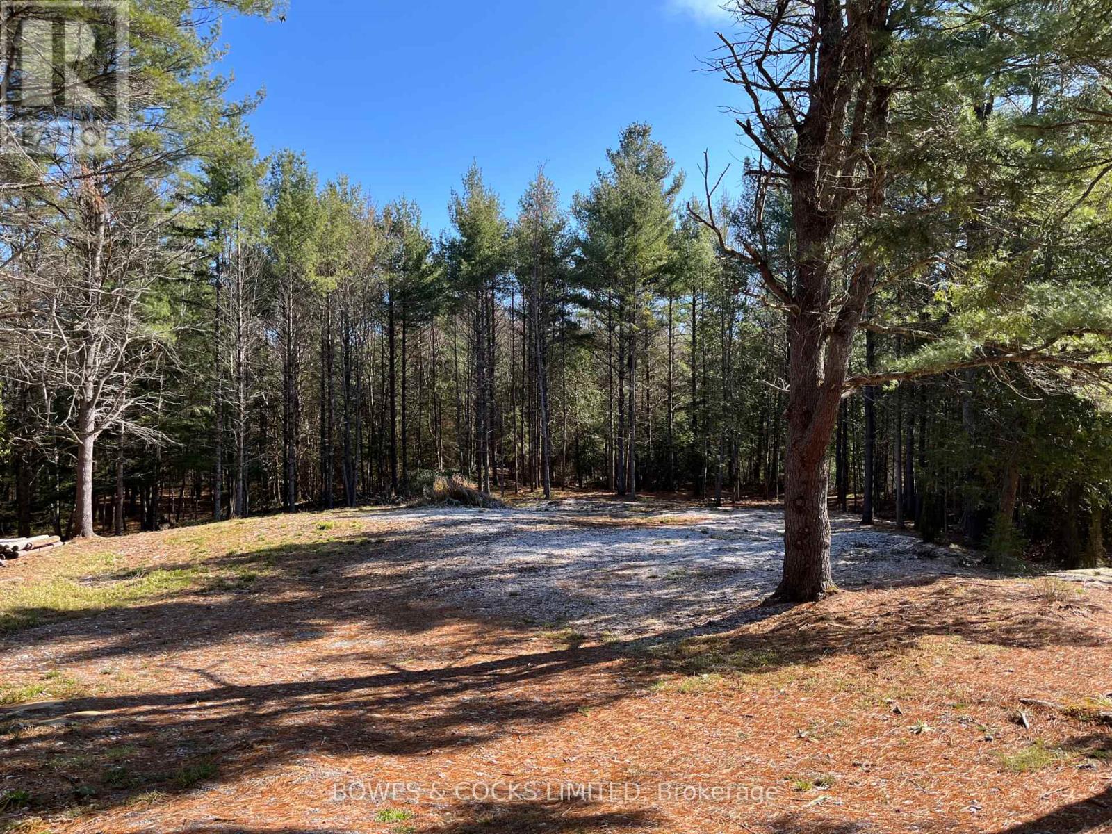 942 Balmer Road, North Kawartha, Ontario  K0L 1A0 - Photo 2 - X12074623